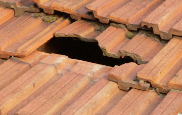 roof repair Green Down, Devon